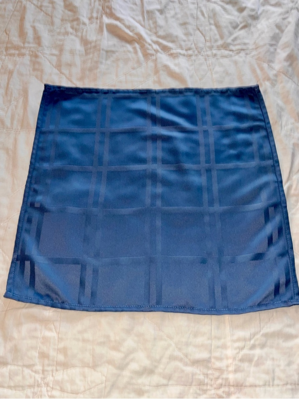 Set of 4 Cornflower Blue Windowpane Napkins - 19" x 19.5" Table Cottagecore Chic